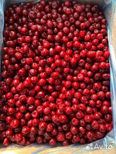 Поставки Вишни б/к 1 класс замороженной