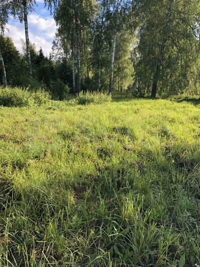 Участок 11 сот. (ИЖС)