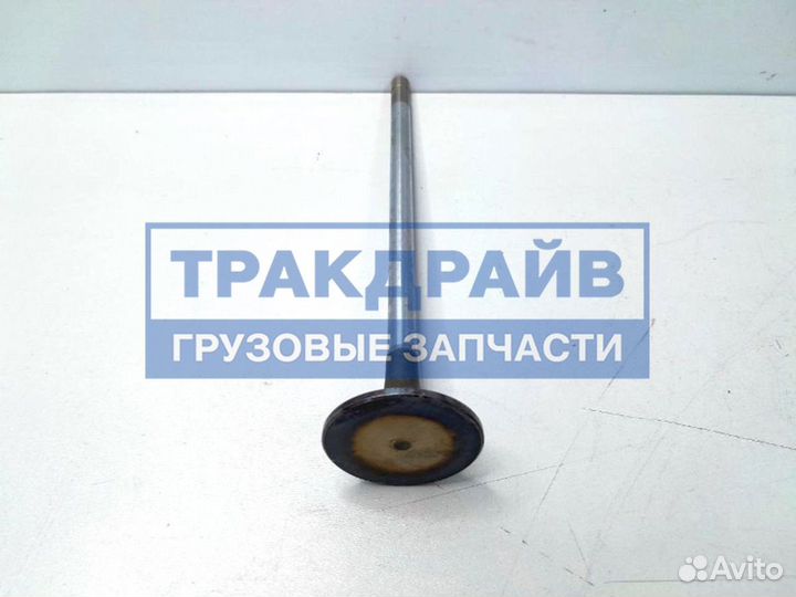 Клапан впускной Ивеко Стралис 43х9х202,9 мм