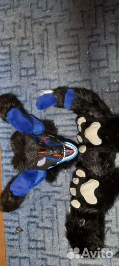 Фурсьют раптора