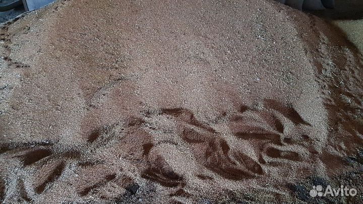 Зерно,ячмень, овес, просо, пшеница