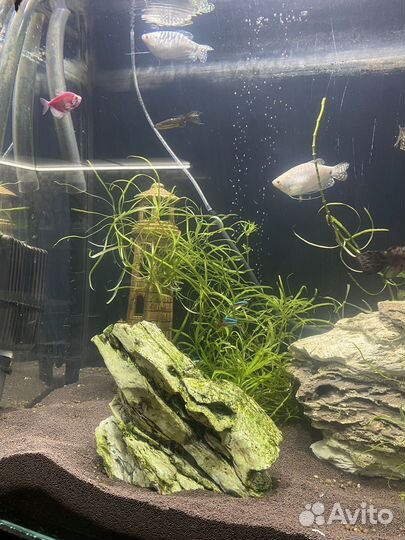 Аквариум с тумбой