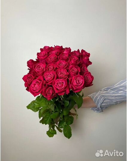 Букет из 15 свежих Голландских роз