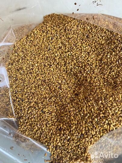 Люцерна изменчивая, семена сенокос