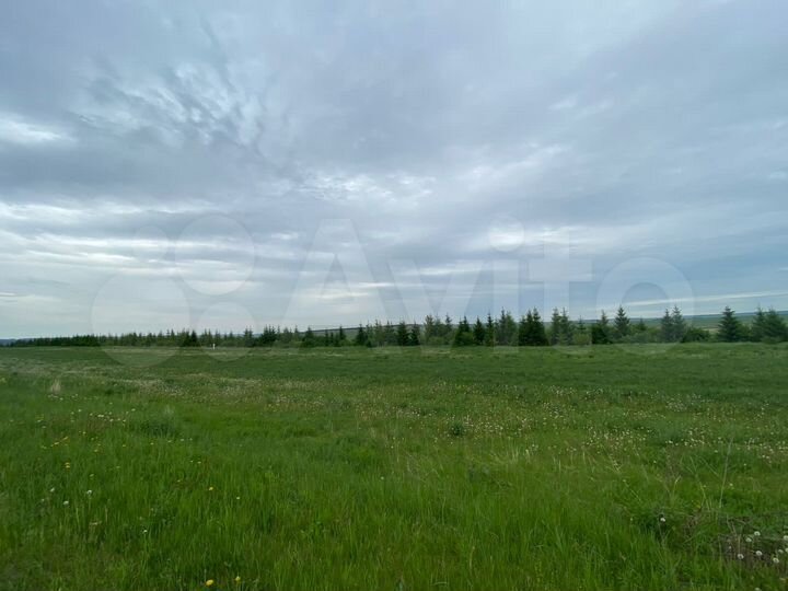 Участок 25 га (СНТ, ДНП)