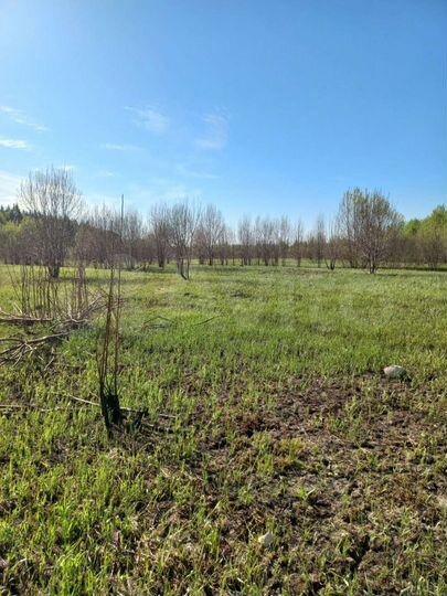 Участок 6 сот. (ИЖС)