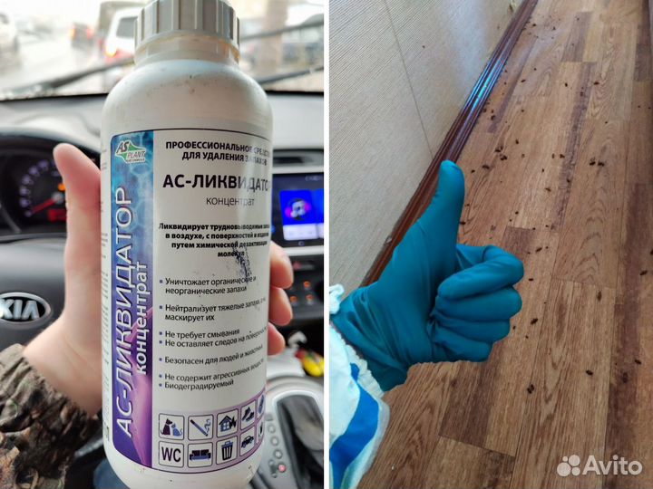 Уничтожение Тараканов, Клопов, дезифекция