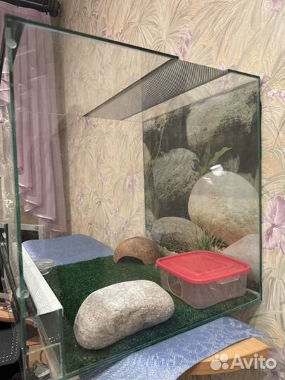 Террариум
