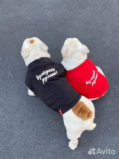 Майка для Бульдога