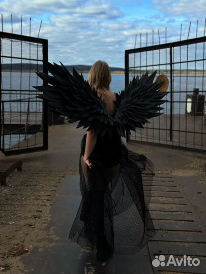 Крылья черные