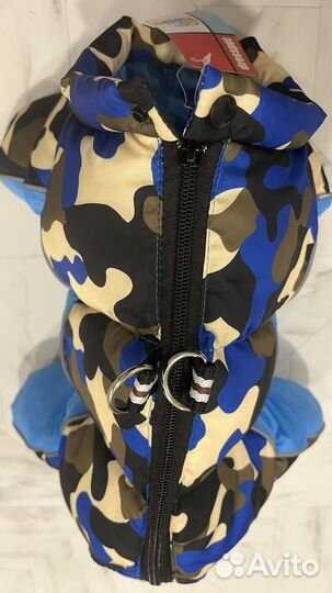 Одежда для собак