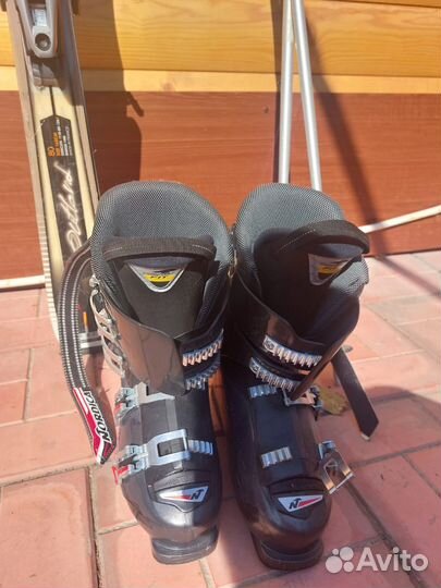 Горные лыжи