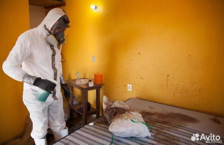 Уборка клининг запах после смерти человека