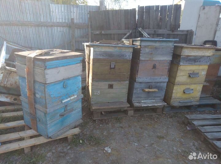 Ульи для пчел