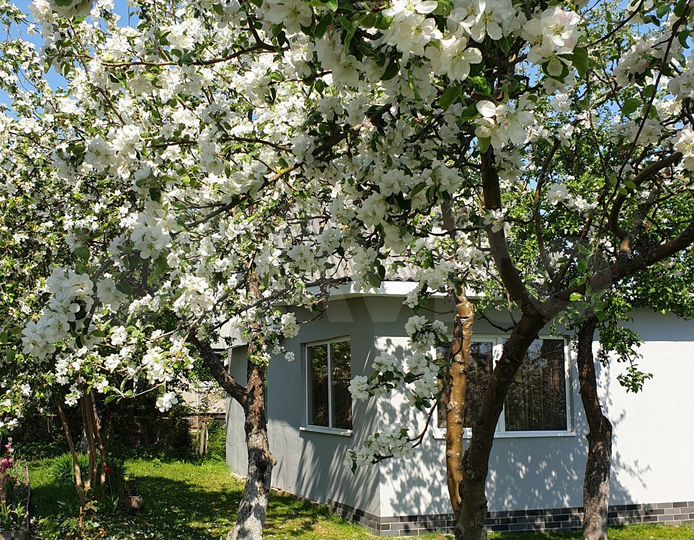 Дача 40 м² на участке 10 сот.