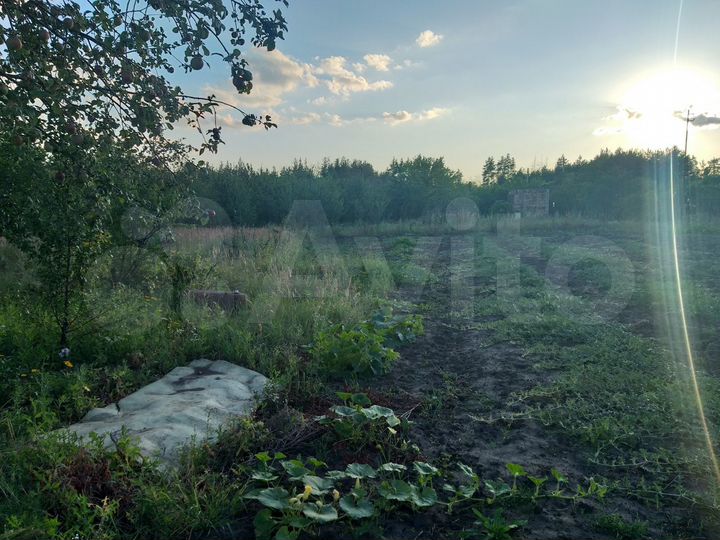 Участок 16 сот. (СНТ, ДНП)