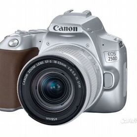 Canon EOS 250D Body новый, гарантия