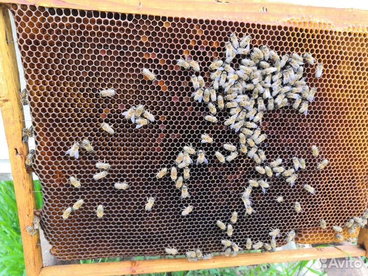 Свечи восковые