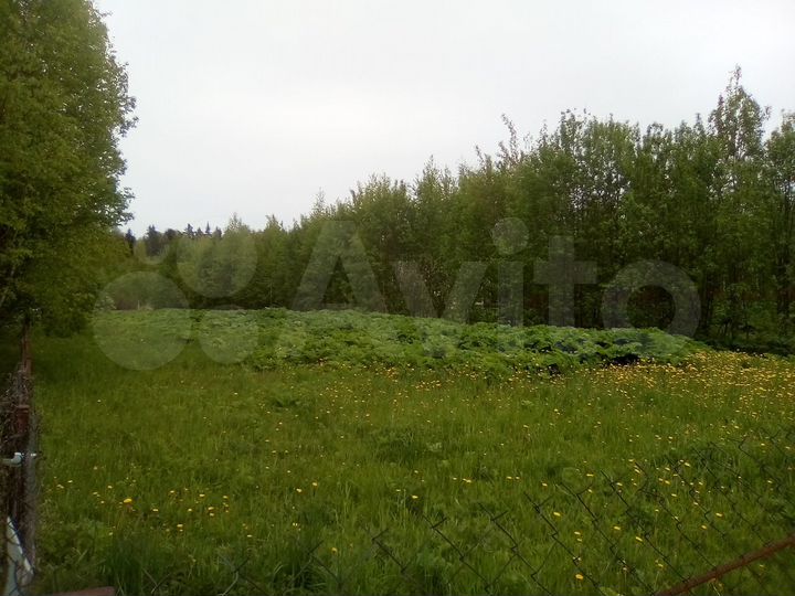 Участок 25 сот. (ИЖС)