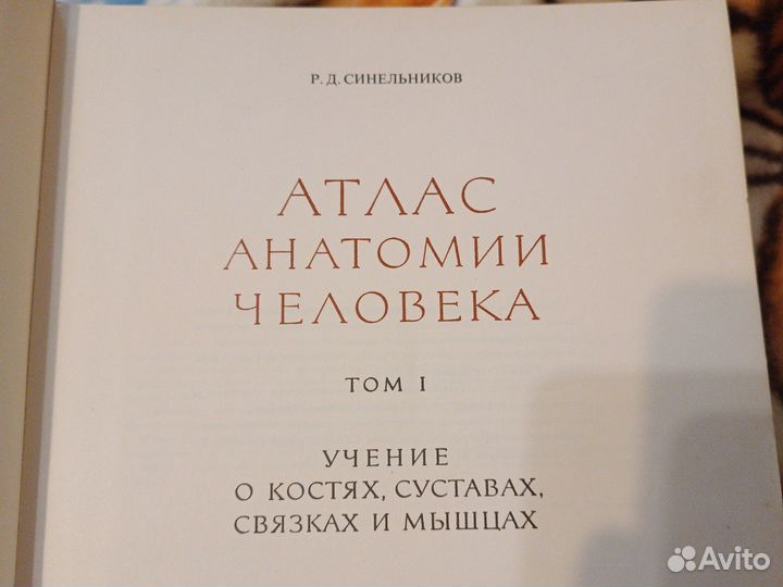 Атлас, анатомия человека