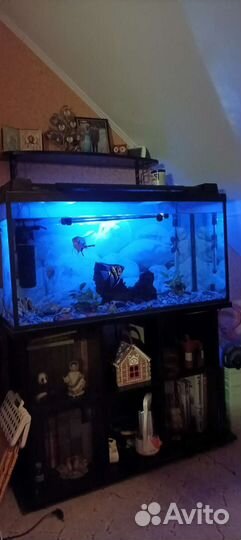 Аквариум 200 литров с тумбой