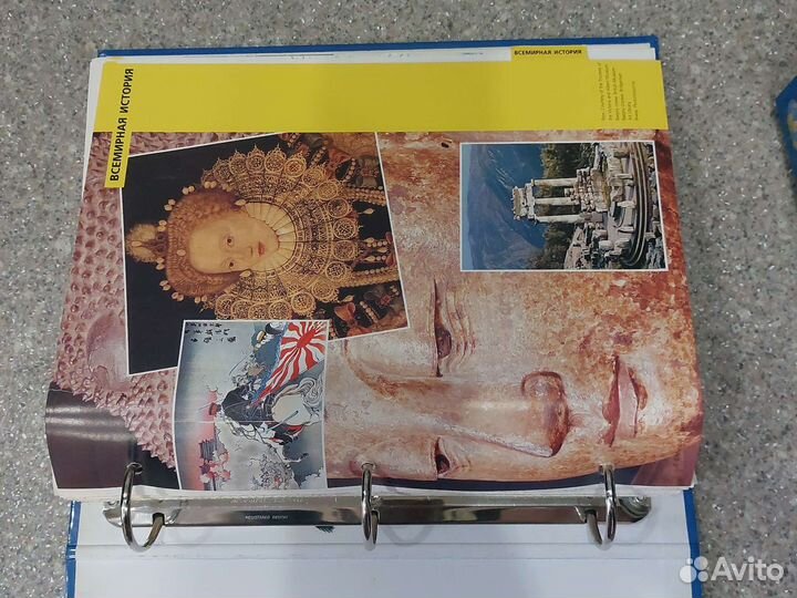 Древо познания