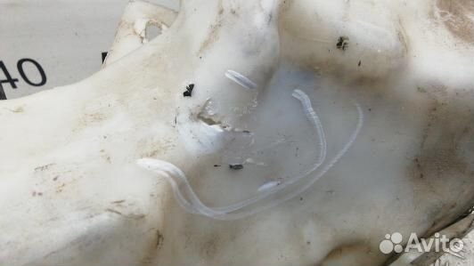 Бачок омывателя land rover discovery 3 (HNT14NL01)