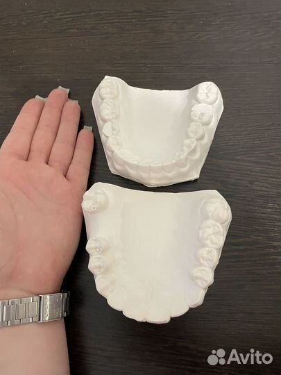 Гипсовые челюсти