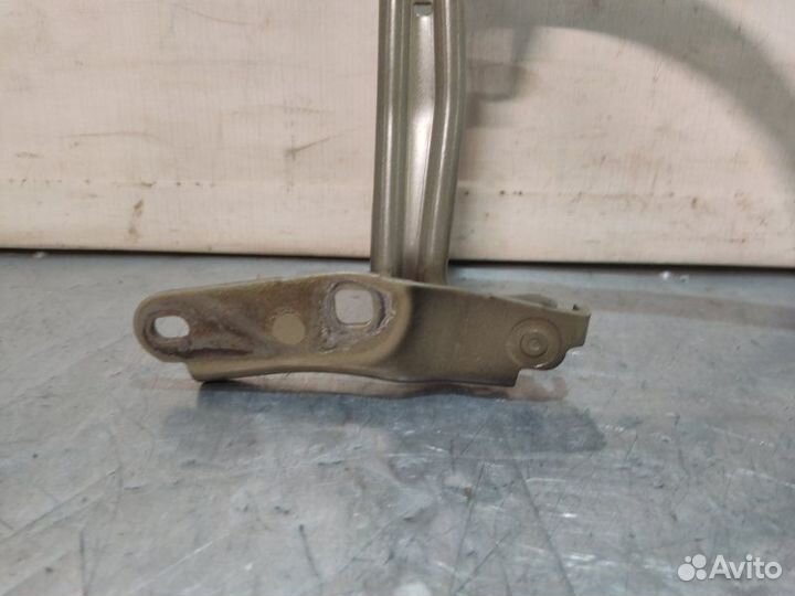 Петля крышки багажника задняя правая Volkswagen