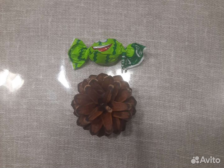 Шишка сосновая