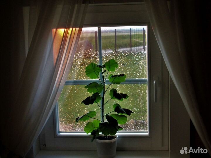 Окно пластиковое на дачу