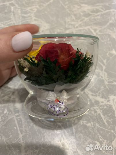 Цветы в стекле