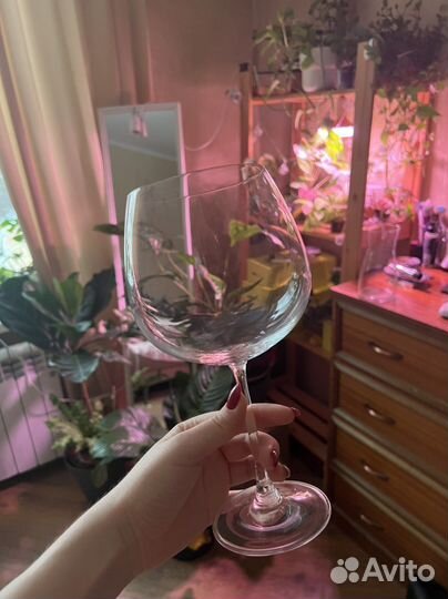 Zara home Бокалы для вина