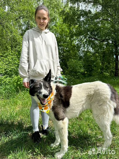 Милый старичок Тимон всю жизнь в приюте