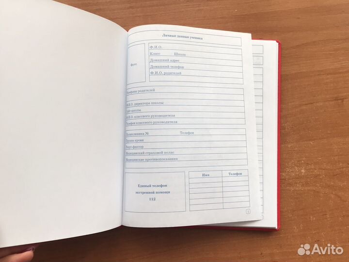 Дневник. Школьный. Студенческий