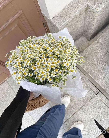 Цветы ромашки. Букеты ромашек. Цветы доставка
