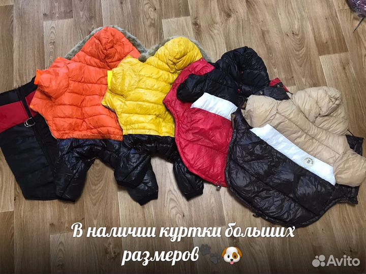 Одежда для собак