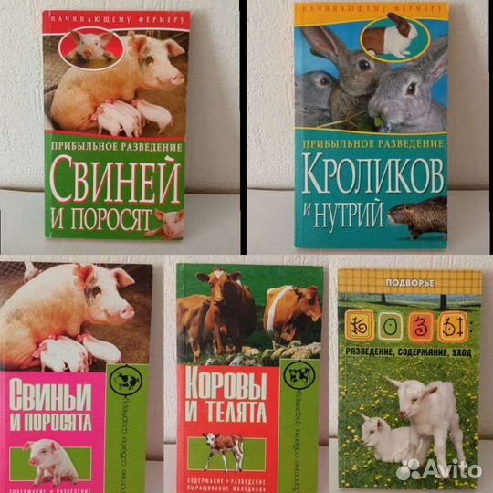 Животноводство, кинология