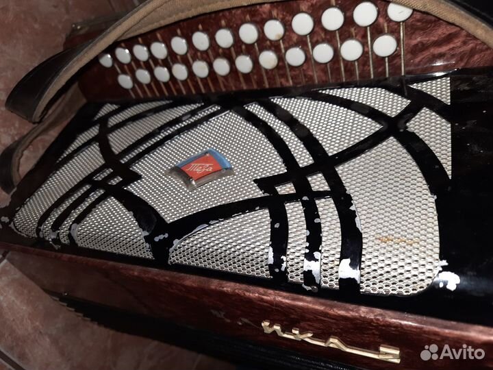 Гармонь чайка 2