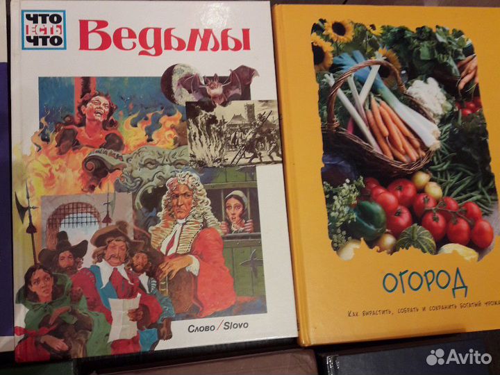 Тайны живой природы