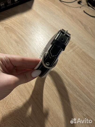 Ошейник для собак