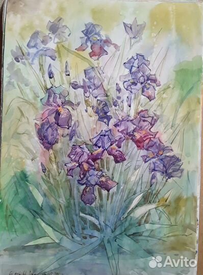 Акварель цветы