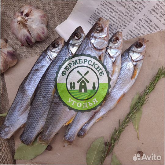 Рыба северная Язь Щука Щекур Мохтик Лещ Сырок