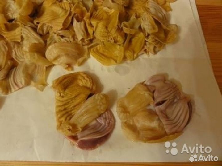 Пленка куриных желудков домашних кур. Жир Гусиный