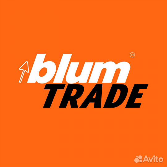 Петли Blum с доводчиком и другая фурнитура