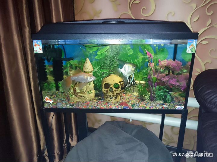 Аквариум с рыбками