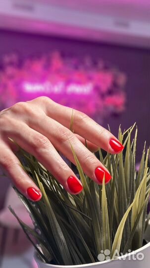 Маникюр наращивание ногтей