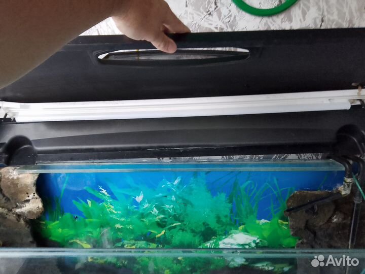 Аквариум с тумбой 240 литров