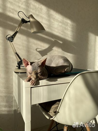 Лампа настольная