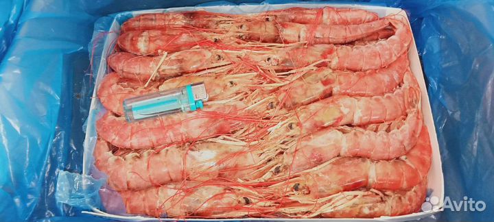 Лангустины L1. Креветка крупная